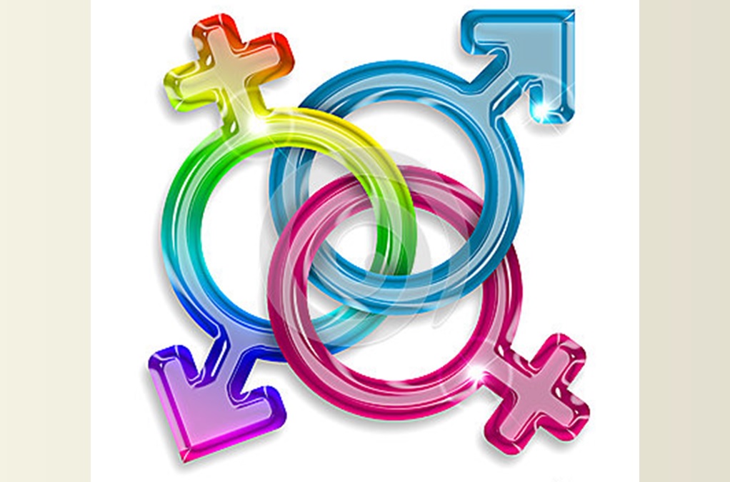 A diversidade da sexualidade humana